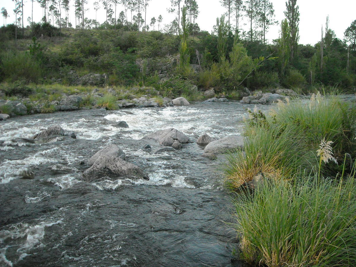 Cabanas Ecos Del Rio Los Reartes Cameră foto